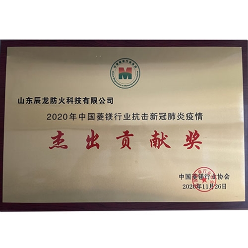 杰出貢獻(xiàn)獎(jiǎng)